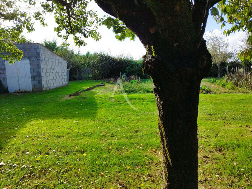 Maison à MONTPELLIER-DE-MEDILLAN