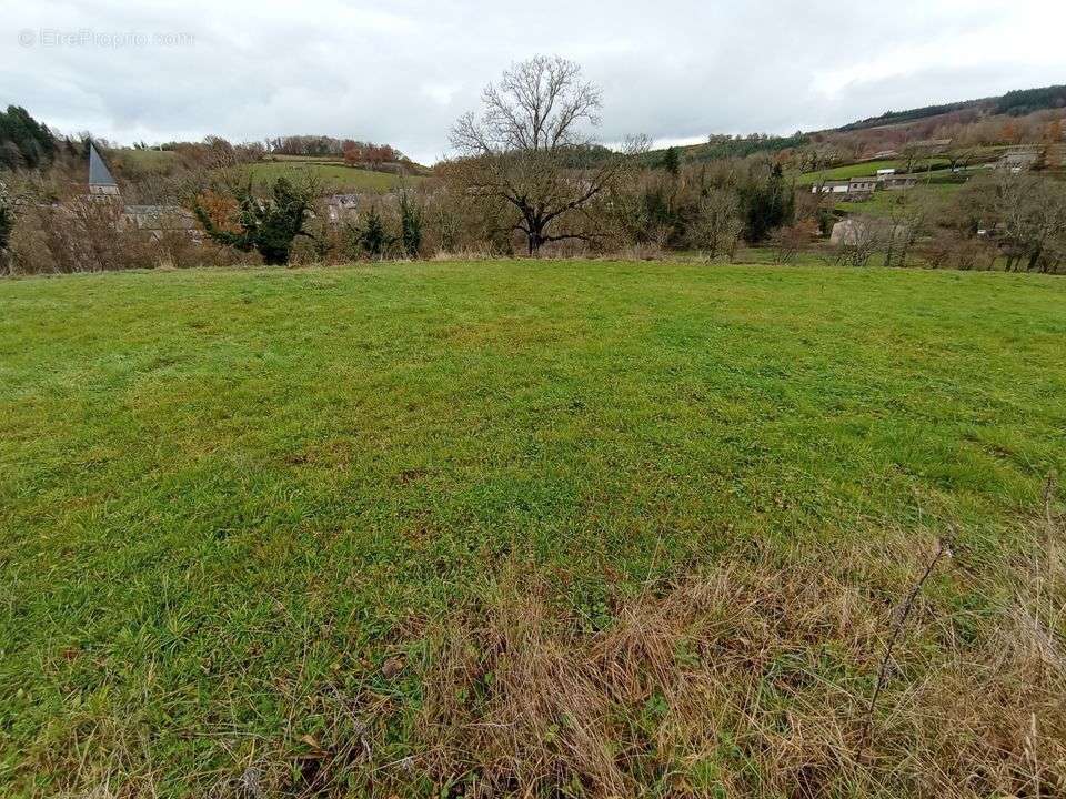 Terrain à FERRIERES-SUR-SICHON