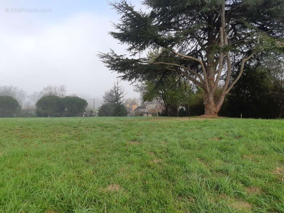 Terrain à SAINT-JEAN