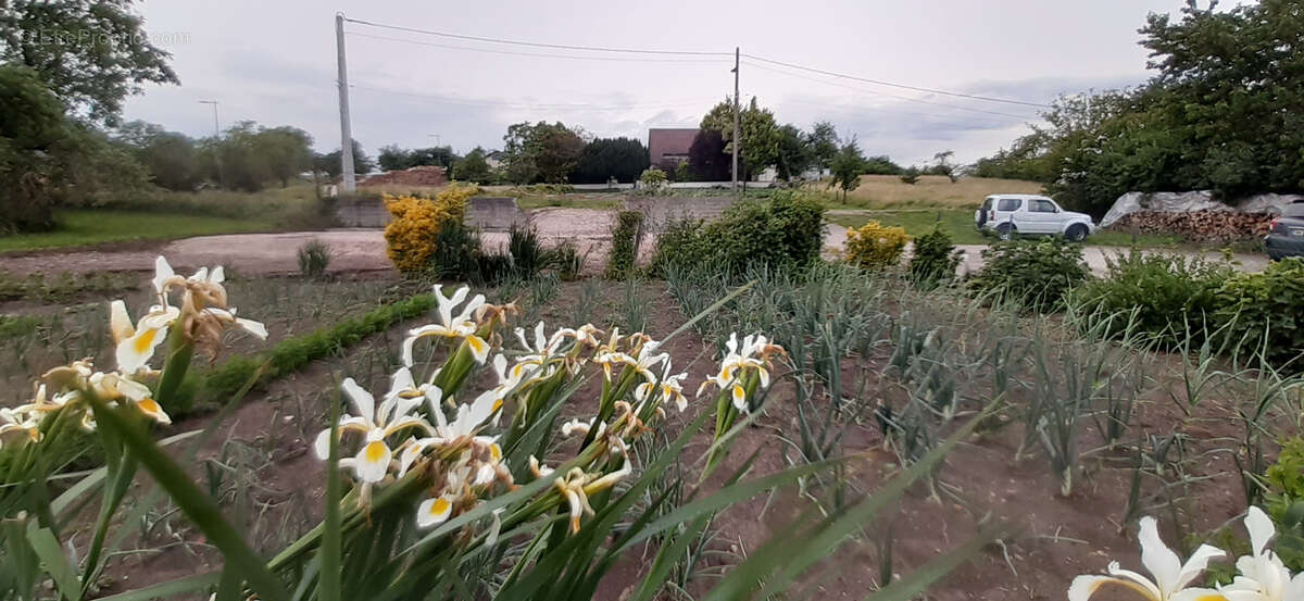 Terrain à ANTHELUPT