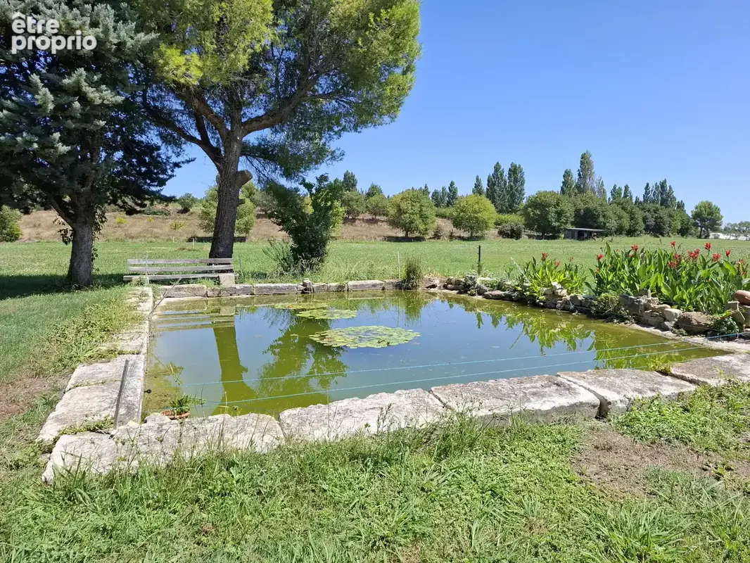 Domaine entre Alpilles et Arles - photo 20