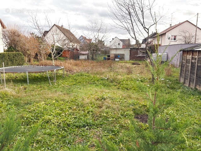 Terrain à TURCKHEIM