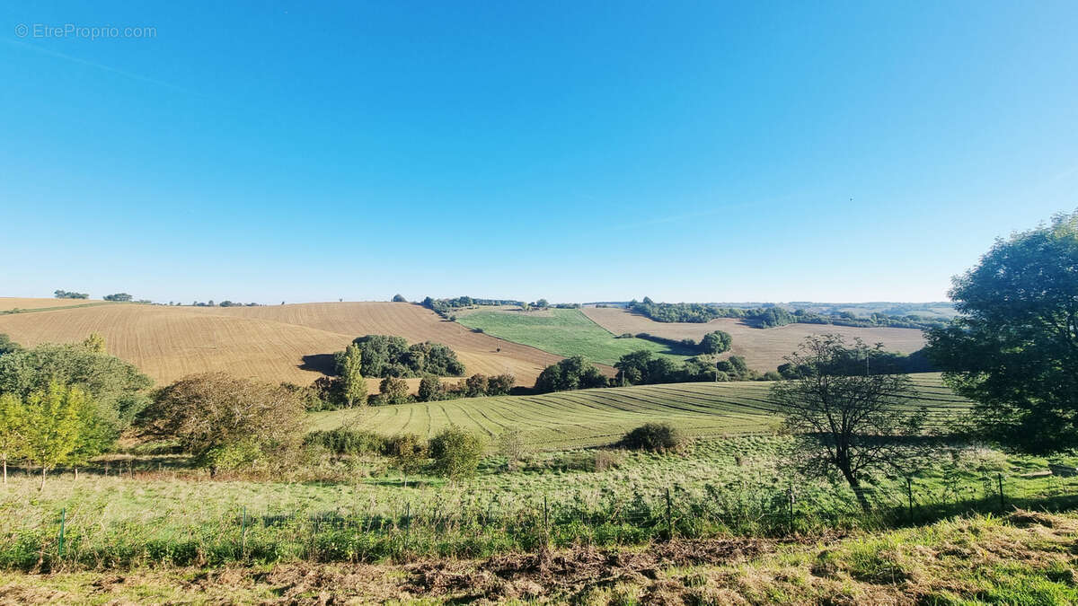 Maison à L&#039;ISLE-EN-DODON