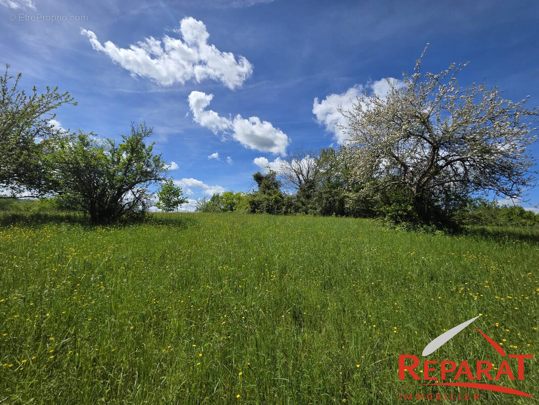 Terrain à SAINT-AULAIRE