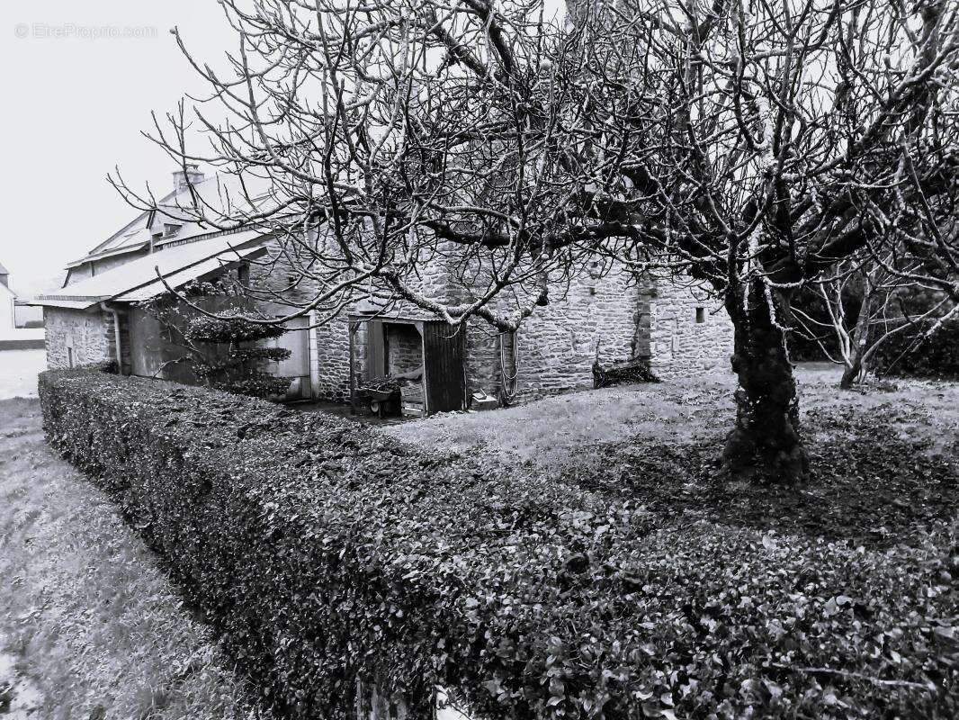 Maison à SAINT-ARMEL