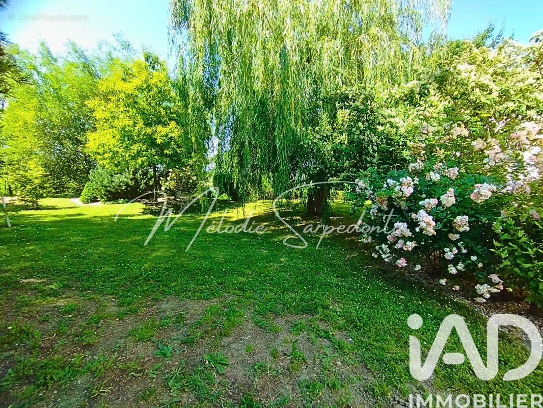Maison 294 m² à Montesquieu-Volvestre  - photo 5