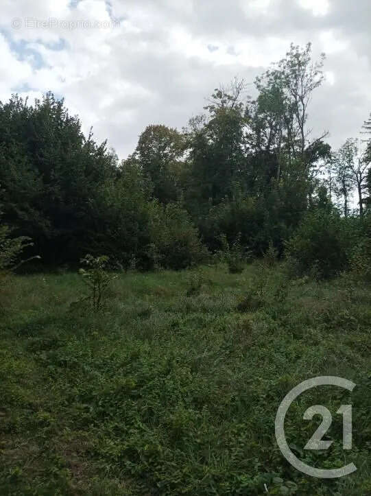 Terrain à BOULT-SUR-SUIPPE