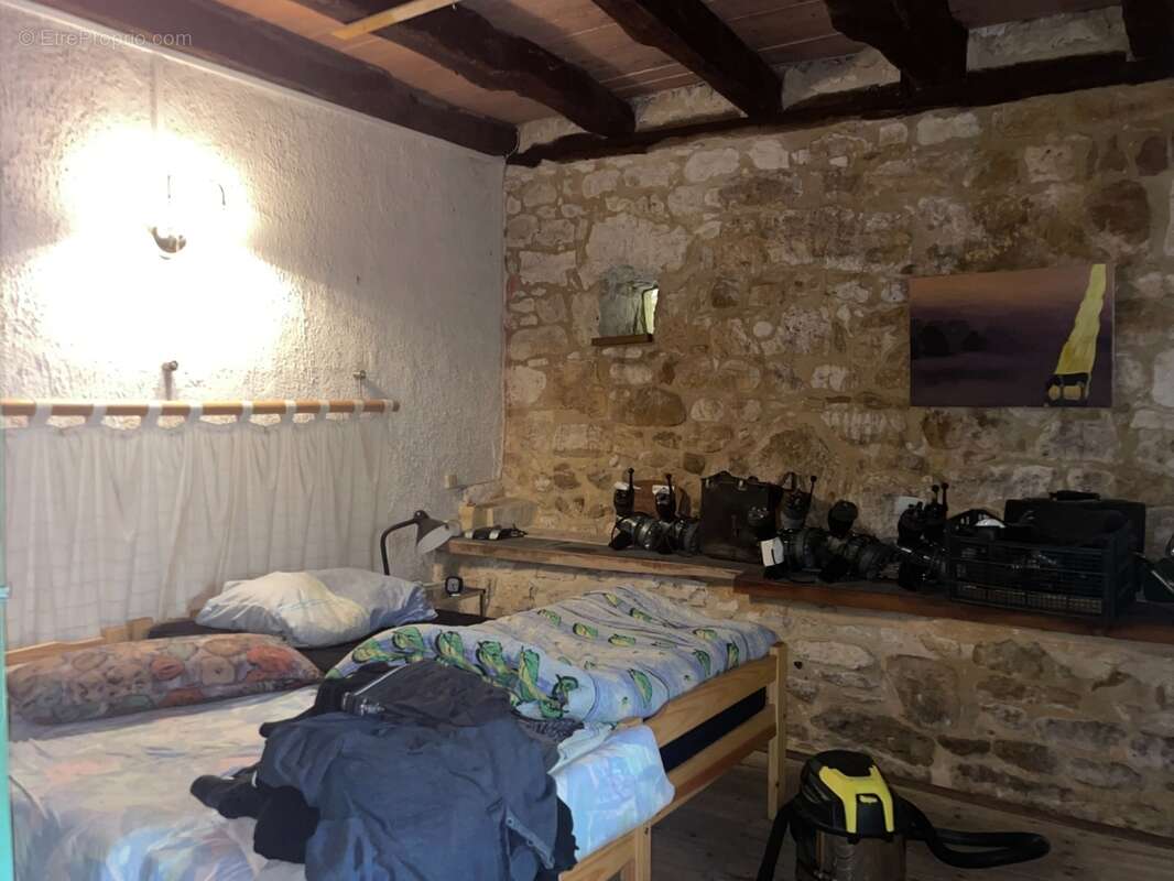 IMG_6916.jpeg - Maison à BEYNAC-ET-CAZENAC