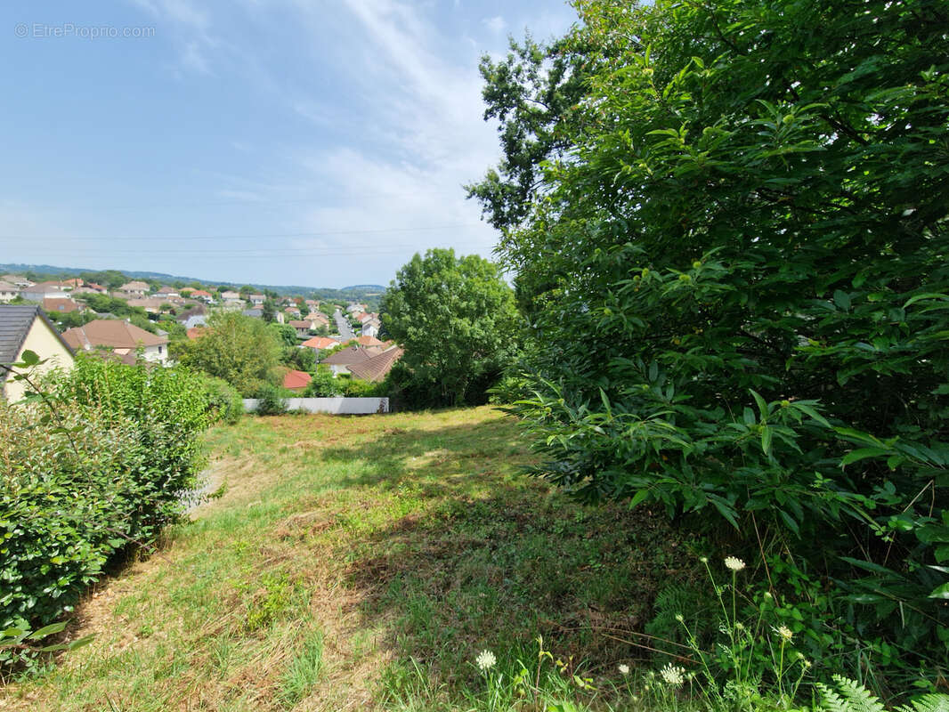 Terrain à MALEMORT-SUR-CORREZE