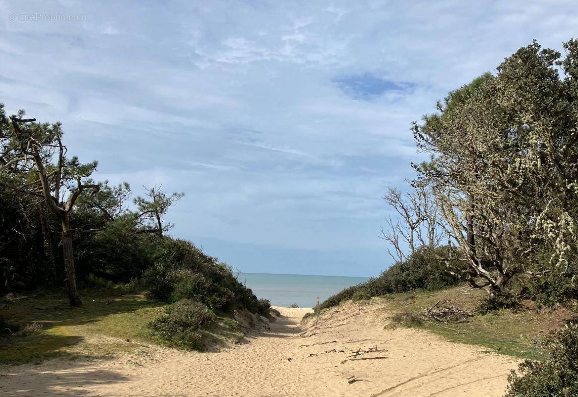 Maison à DOLUS-D&#039;OLERON