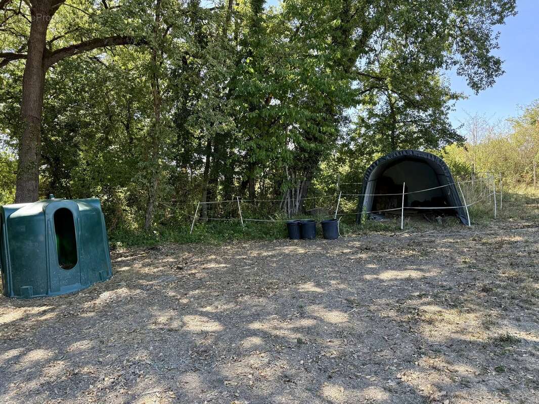 Propriété Équestre en Pierre – Installations pour Chevaux & Écurie à Proximité - photo 3