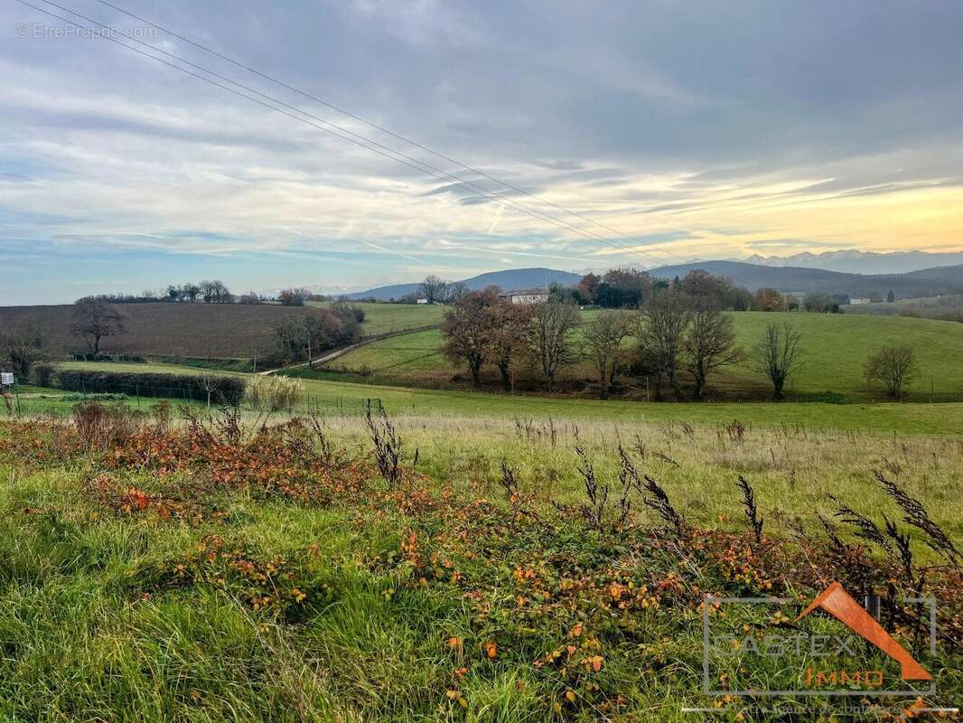 Terrain à MARTRES-TOLOSANE