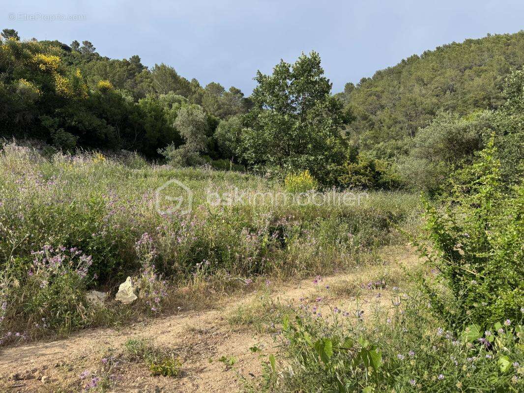 Terrain à BELGENTIER
