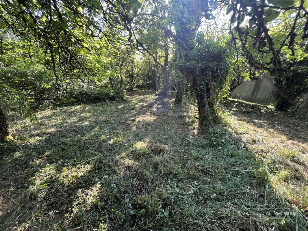 Terrain à SAINT-BENIN-D'AZY