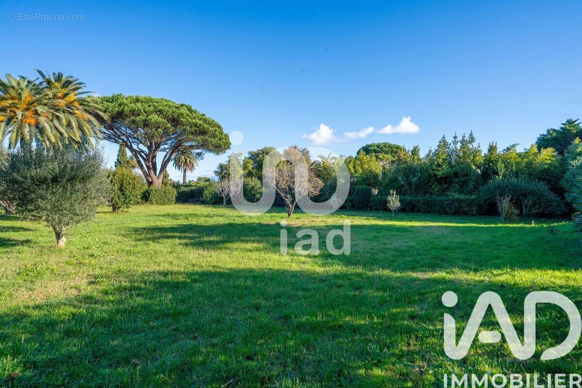 Photo 3 - Maison à SAINT-TROPEZ