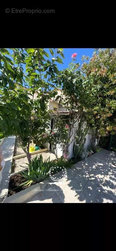 Maison indépendante - jardin - pool house - photo 15
