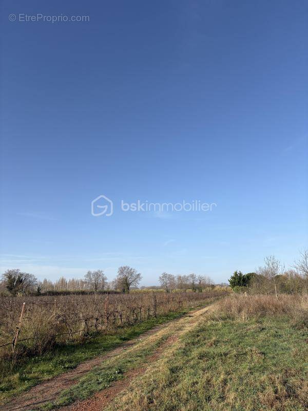 Terrain à VILLELONGUE-DE-LA-SALANQUE