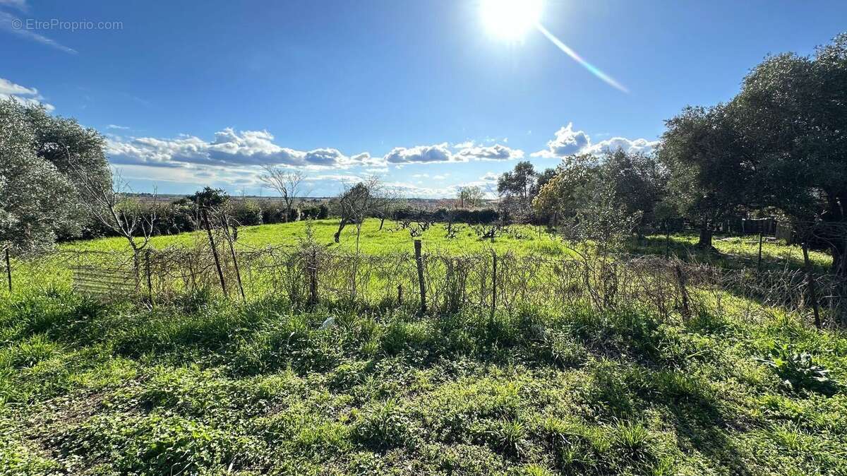Photo 2 - Maison à ABEILHAN