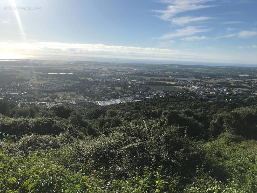 Terrain à BORGO