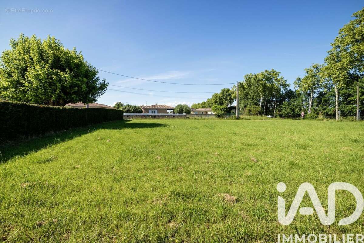 Photo 5 - Terrain à MONTAUBAN