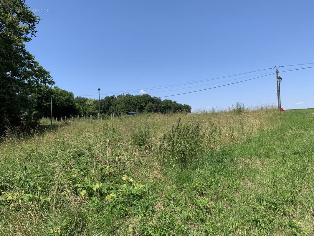 Terrain à MONTACHER-VILLEGARDIN