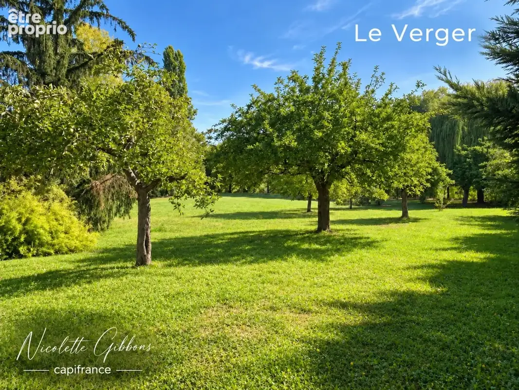 Ensemble de propriété - maison bourgeoise, deuxième logement/bureaux, grange, 1 hectare - photo 41