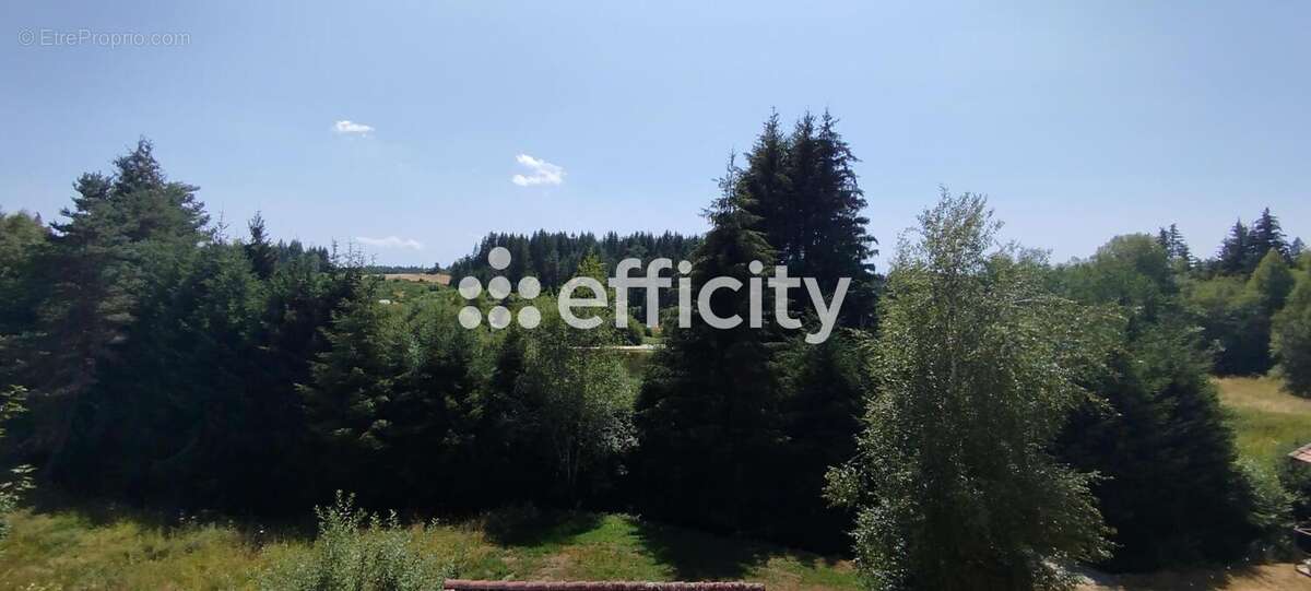 Maison 10 pièces 442 m² à vendre à Fournols (63980) - photo 2