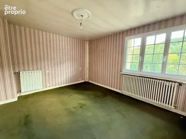 Maison familiale des années 70 avec sous-sol complet et beau potentiel - photo 14
