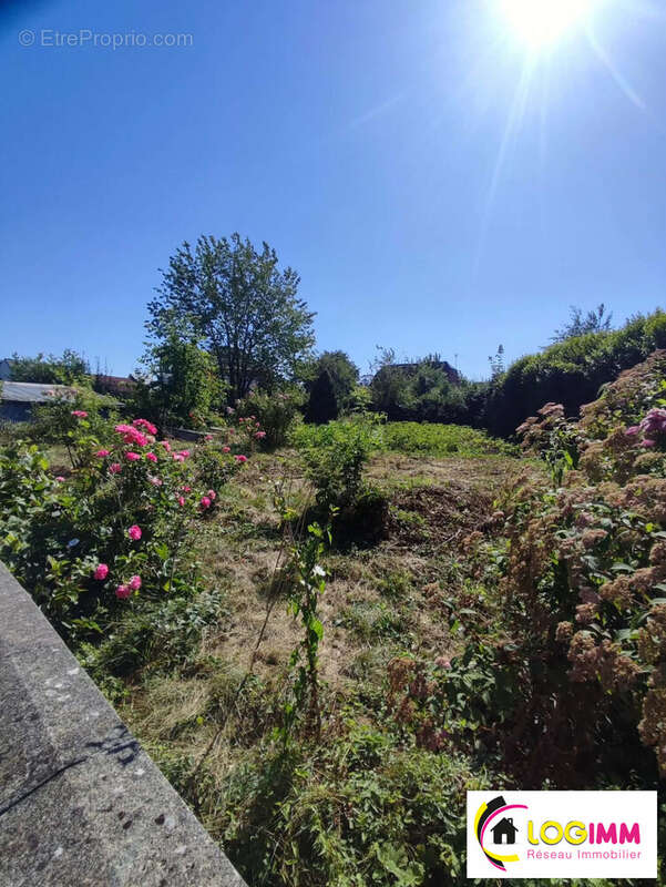 Terrain 695 m² à Maroilles  - photo 5