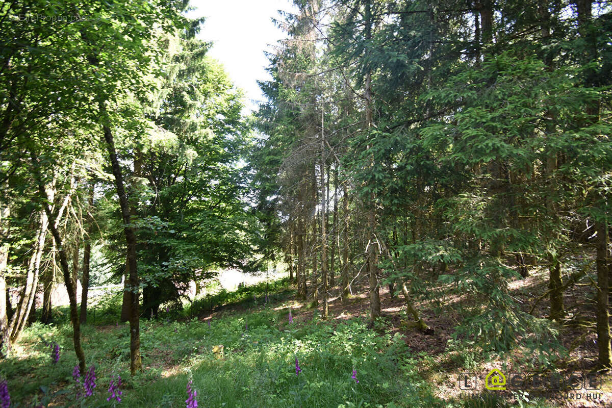 Terrain à ANOULD