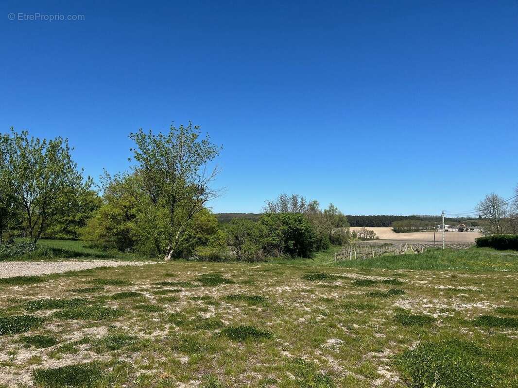 Photo 2 - Terrain à RIBAGNAC