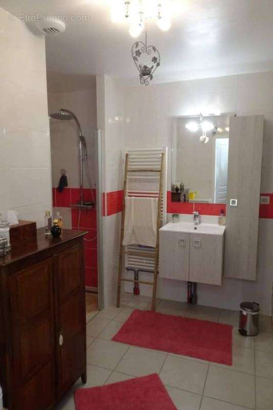 CHARENTE/AIGRE. Maison en pierre rénovée, 3 chambres(poss 4) avec jardin clos 1169 m² (gite ou chambres d'hôtes) - photo 17