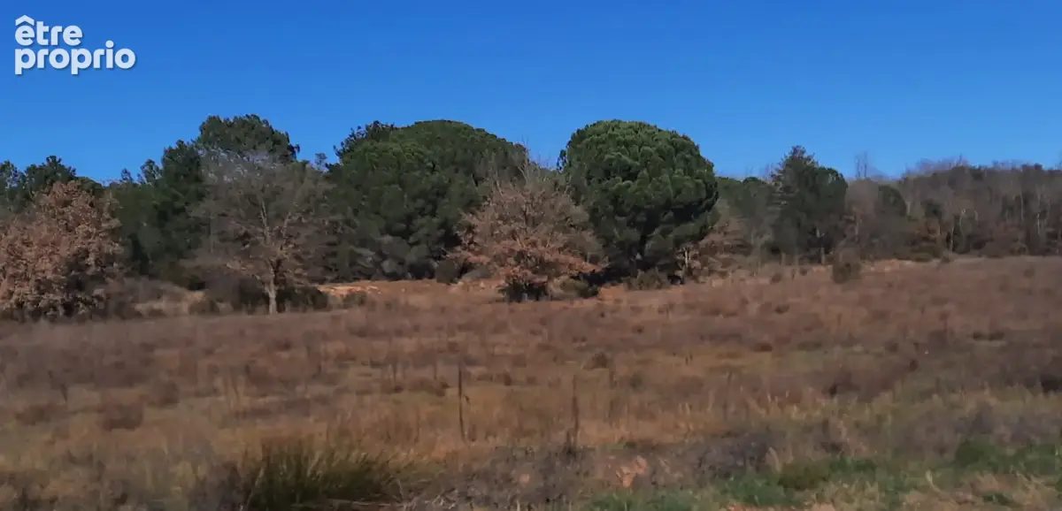 Terrain à SAINT-JEAN-PLA-DE-CORTS