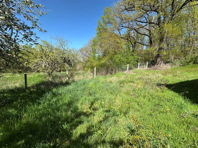 Maison à SAURET-BESSERVE