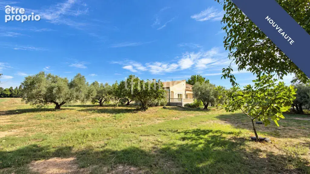 Villa T5 de 159 m2 sur 30 000 m2 de terrain - Elne - photo 3
