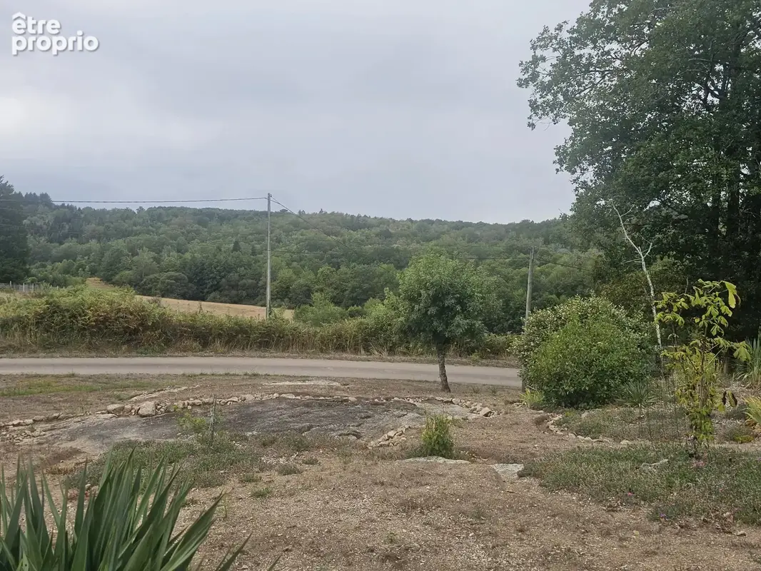 Charmante propriété en pierre - Deux maisons mitoyennes dans le Périgord Vert - photo 20