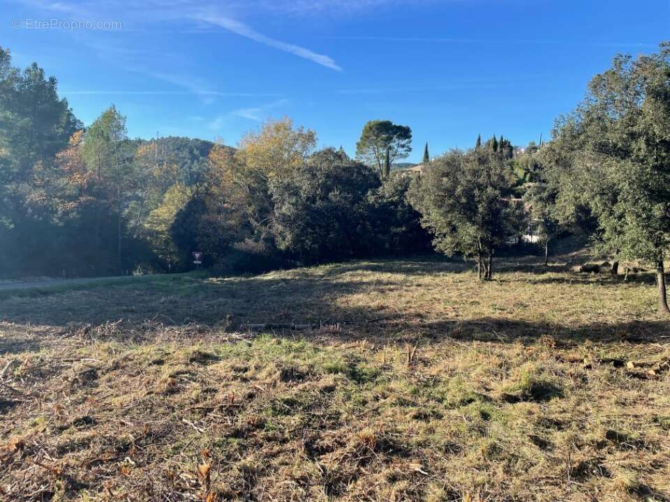 Terrain 1244 m² à Taradeau  - photo 2