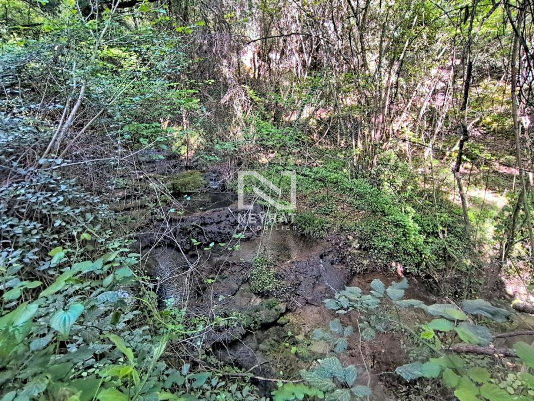 Terrain à TOURRETTES