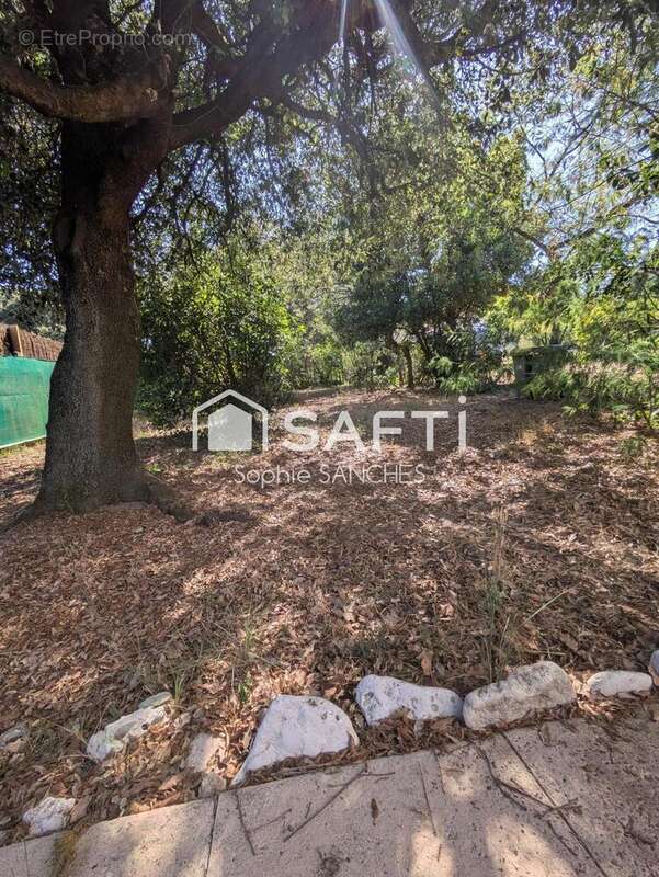 Photo 4 - Maison à LE GRAND-VILLAGE-PLAGE