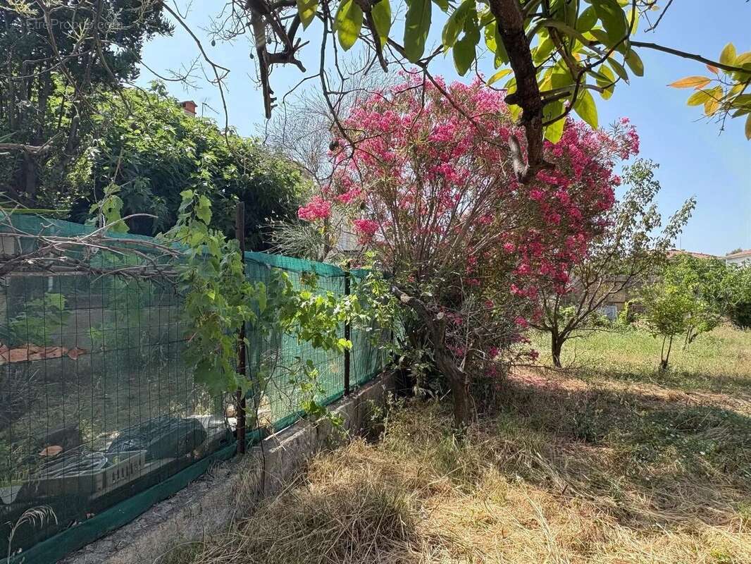 Terrain à PERPIGNAN