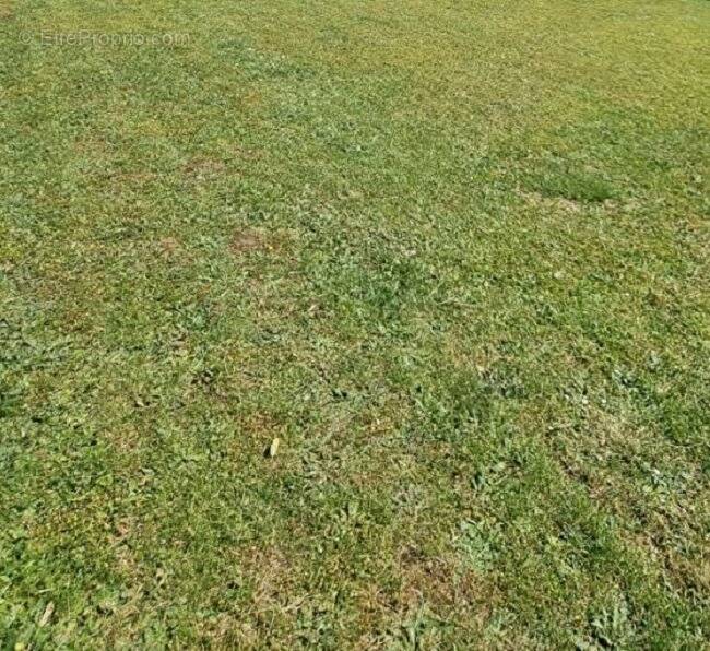 Terrain à CHANTELOUP-EN-BRIE