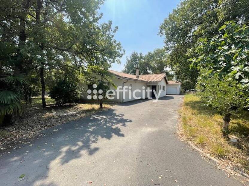 Maison à LE TAILLAN-MEDOC