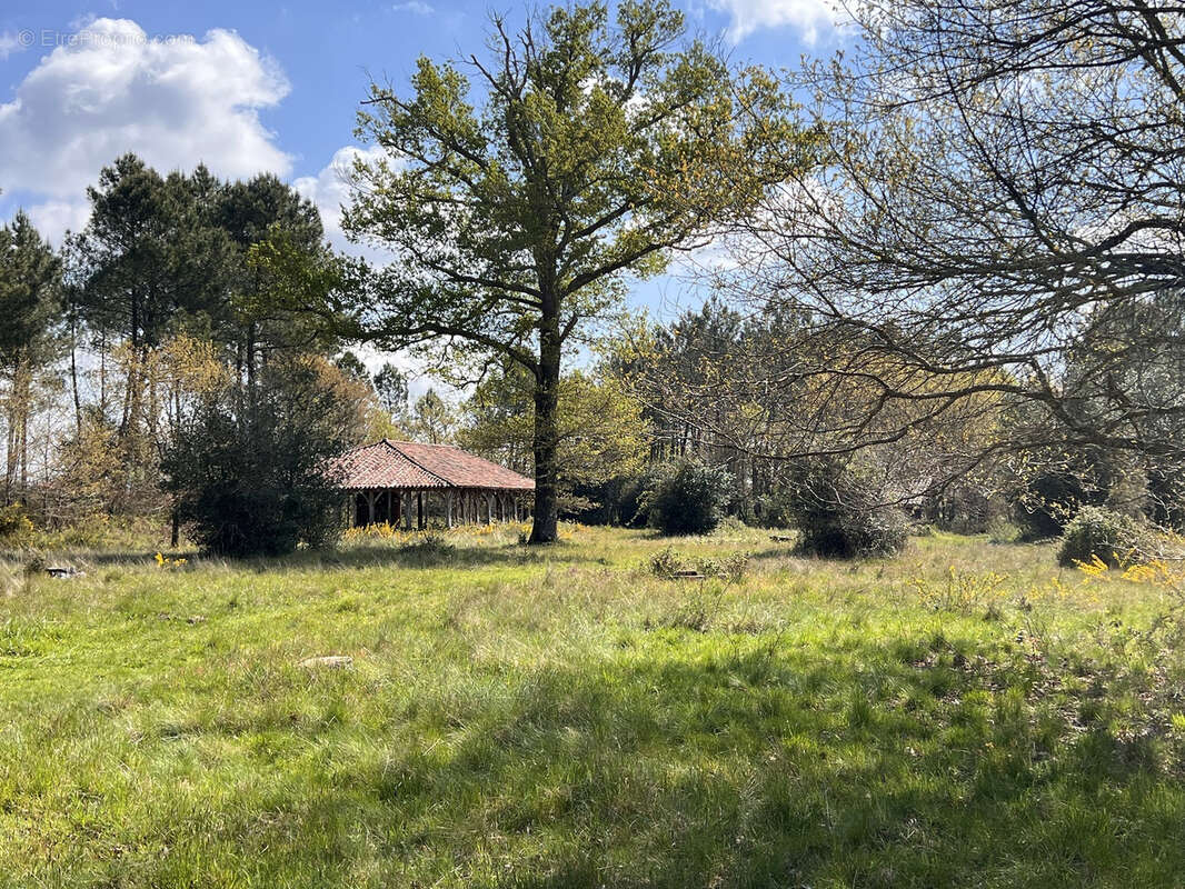 Maison à ONESSE-ET-LAHARIE