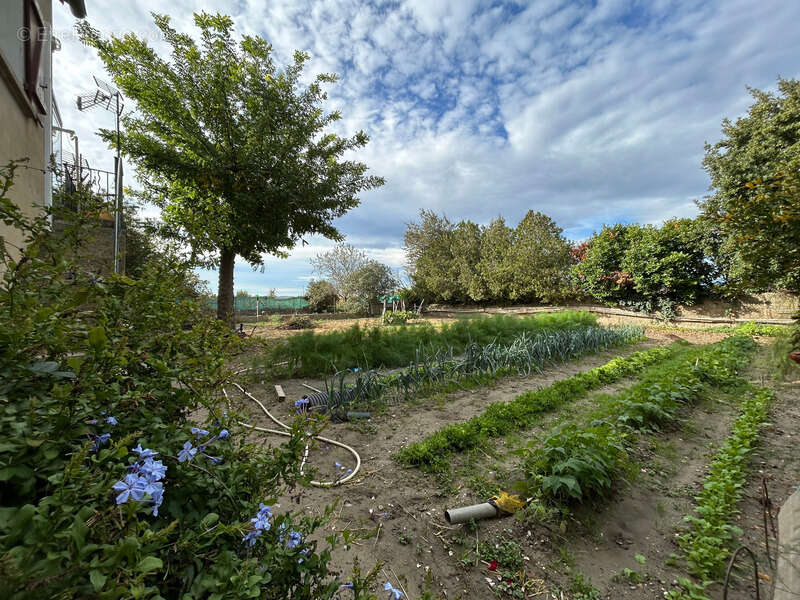 Maison à PIERRELATTE