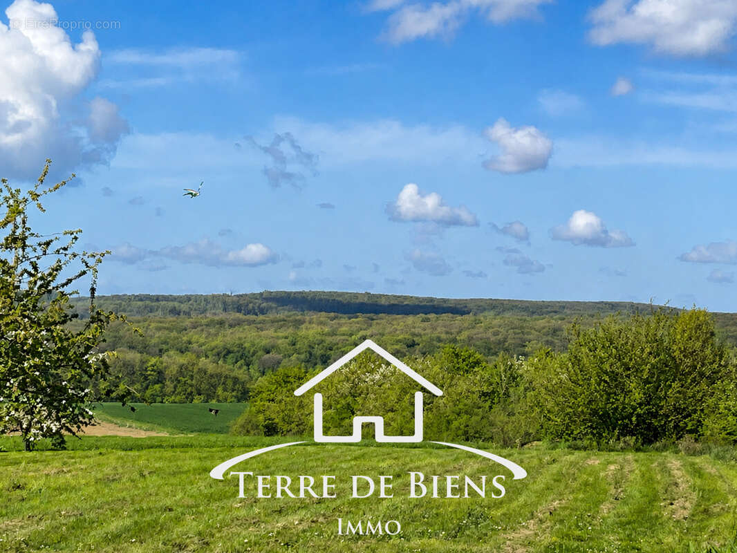 Charmante maison familiale rénovée avec vue dégagée sur la forêt entre Soissons et Paris- 6 pièces - photo 14