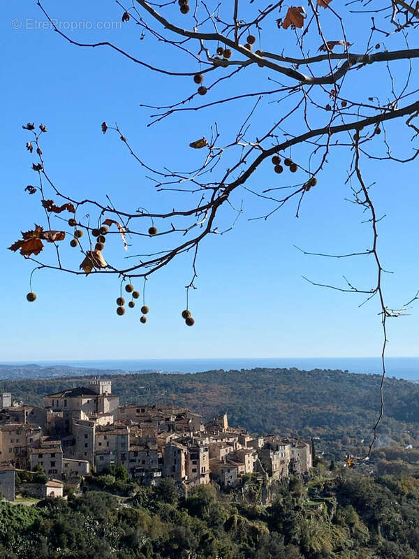 Maison à TOURRETTES-SUR-LOUP