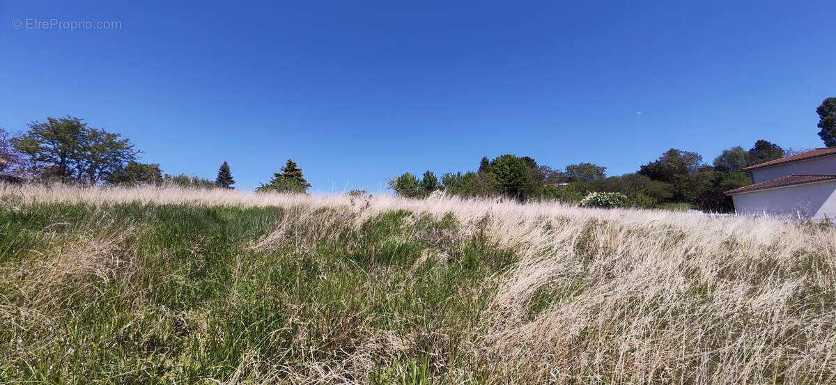 Terrain à LE VERNET