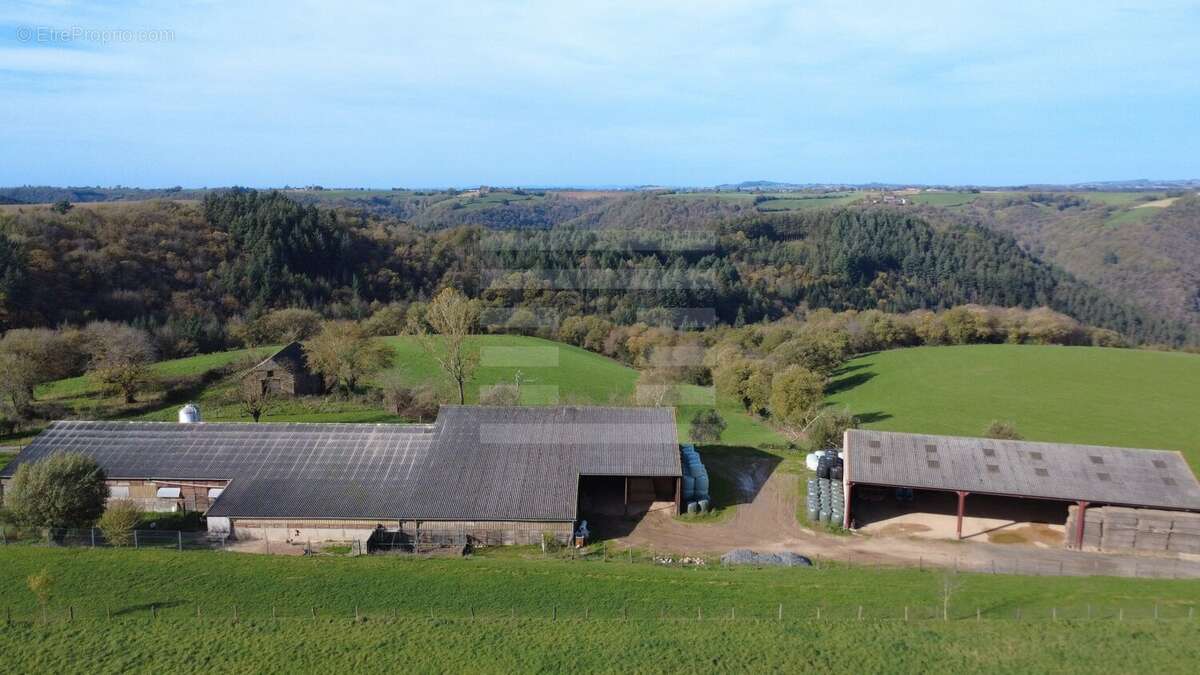 Tarn : Exploitation en ovin lait sur 52 ha SAU - photo 2