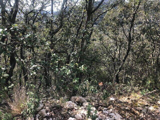 Photo 1 - Terrain à SAINT-BONNET-DU-GARD