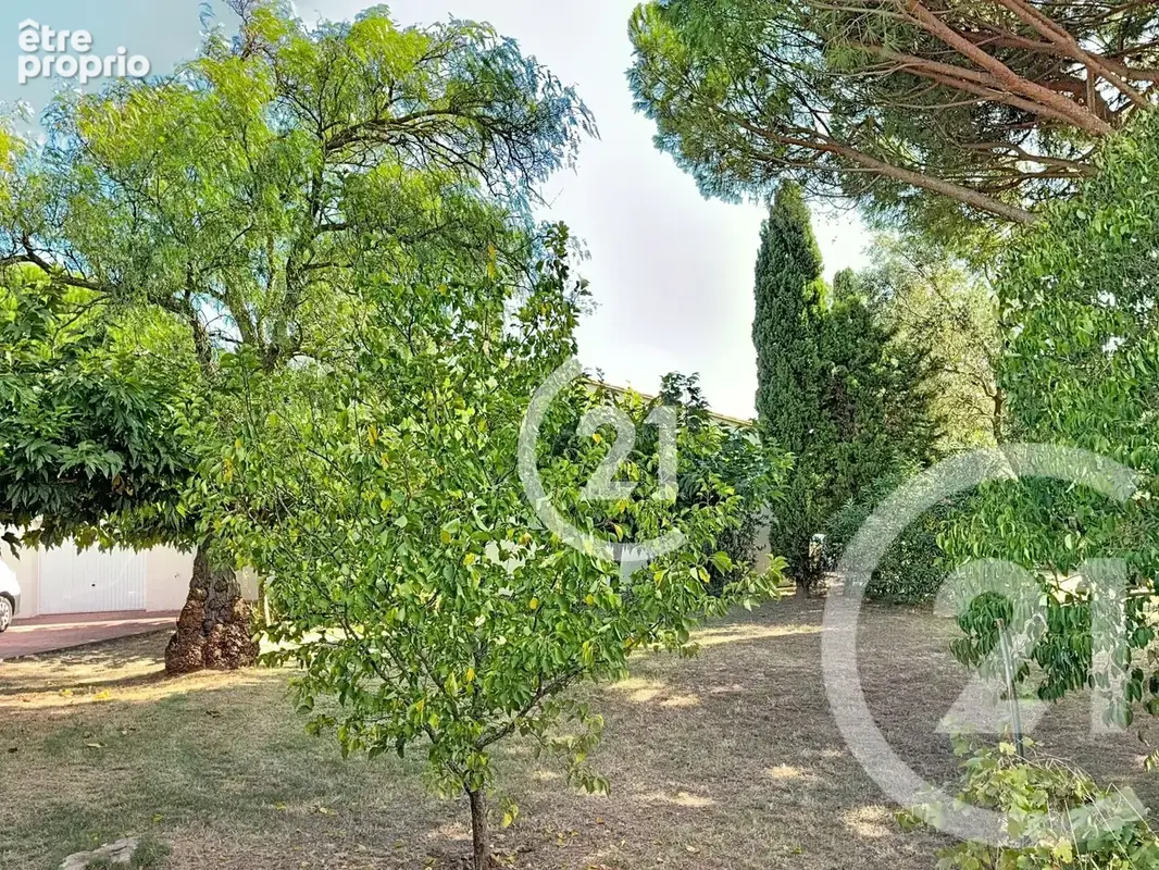 Maison 4 pièces 140 m² à vendre à Montescot (66200) - photo 3